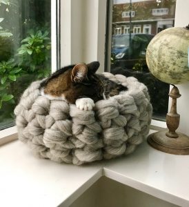 catbed - natalie wool