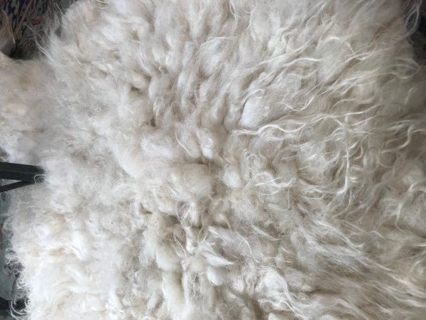 pluk - natalie wool