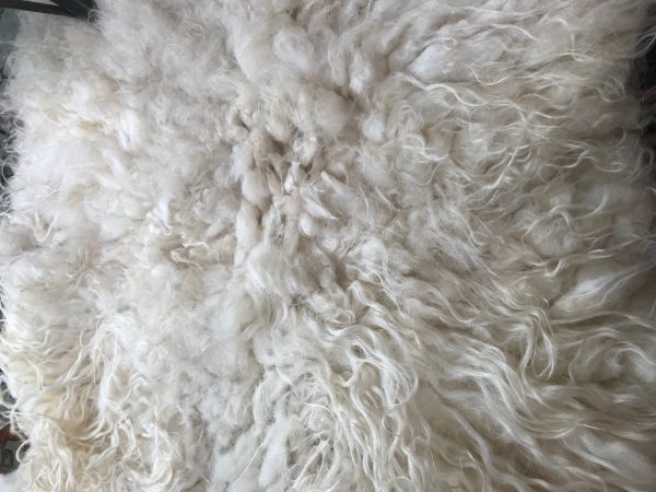 pluk - natalie wool