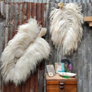Woolen Feathers